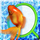 THE 金魚すくい
