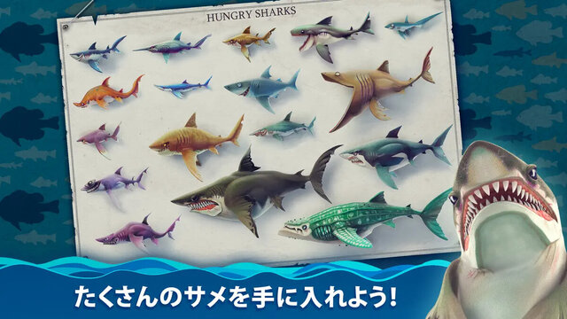ハングリーシャーク ワールド