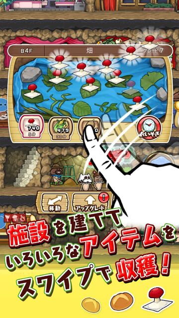 なめこの巣