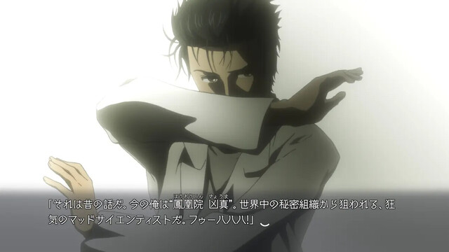 STEINS;GATE ELITE