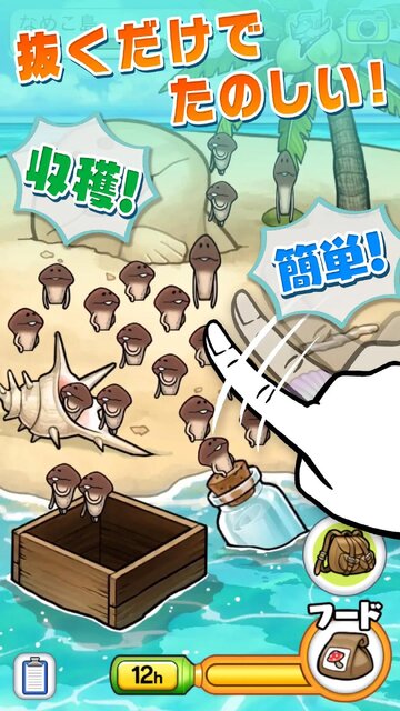 なめこ栽培キット ザ・ワールド