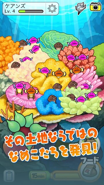 なめこ栽培キット ザ・ワールド