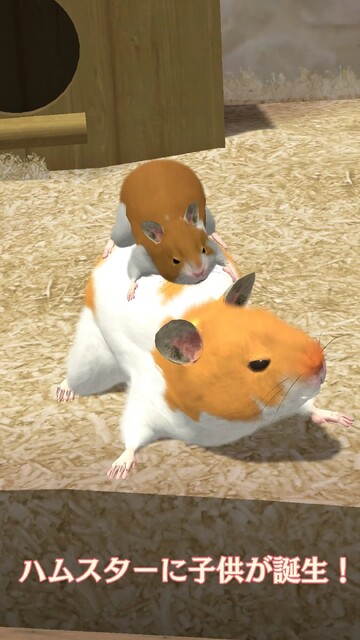 なまはむ