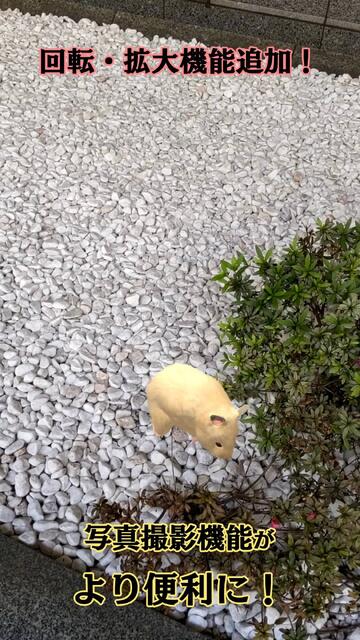 なまはむ