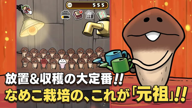 元祖 なめこ栽培キット