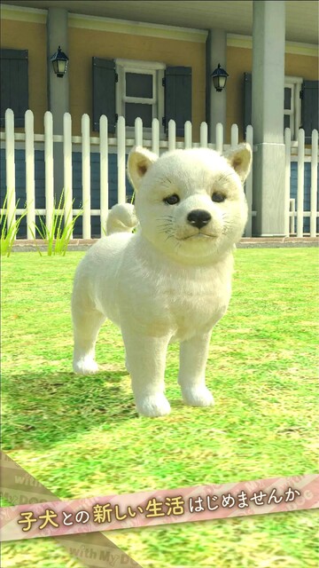 with My DOG - 犬とくらそう -