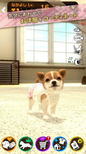 with My DOG - 犬とくらそう -