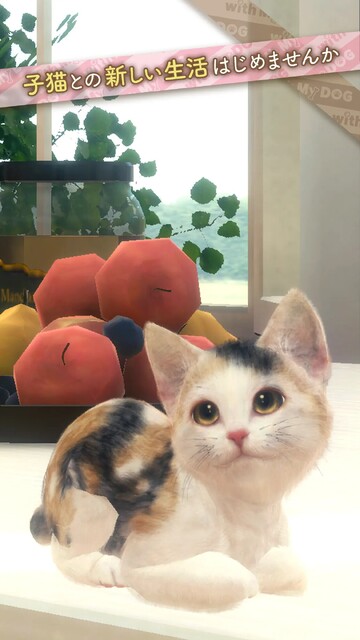 with My CAT - 猫とくらそう -