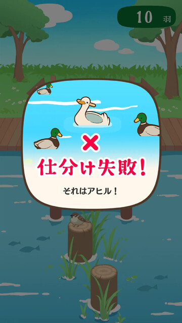 アヒルかも？ Duck or Duck