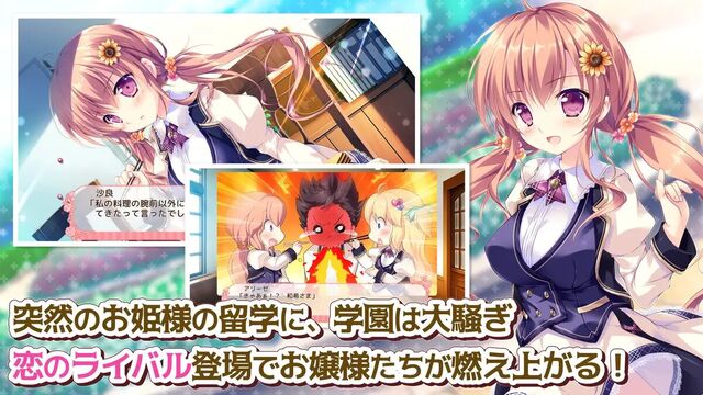 姫と乙女のヤキモチLOVE