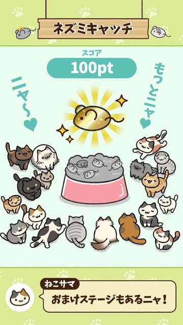 ねこさがし