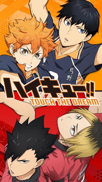 ハイキュー!! TOUCH THE DREAM