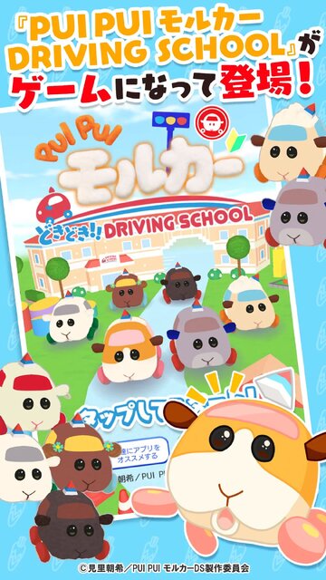 PUI PUI モルカー どきどきDRIVING SCHOOL