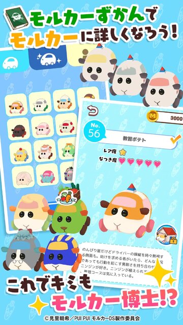 PUI PUI モルカー どきどきDRIVING SCHOOL