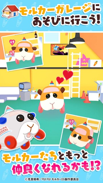 PUI PUI モルカー どきどきDRIVING SCHOOL