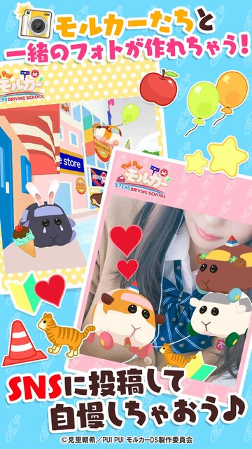 PUI PUI モルカー どきどきDRIVING SCHOOL
