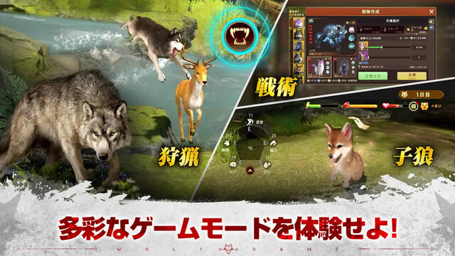 ウルフゲーム:ザ・ワイルド・キングダム