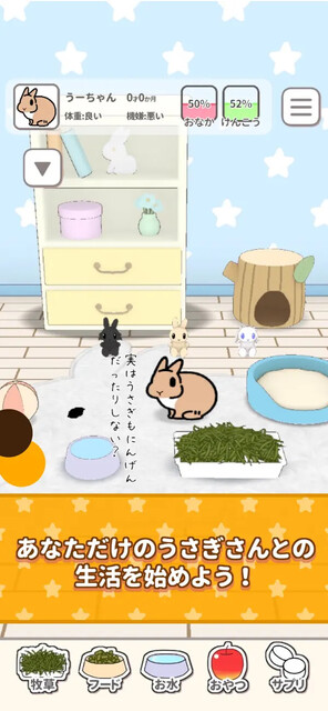 いつも、うさぎと一緒なら