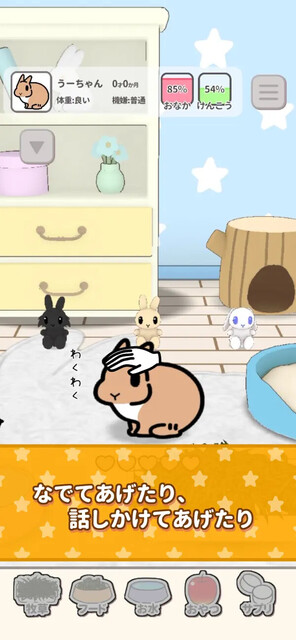 いつも、うさぎと一緒なら