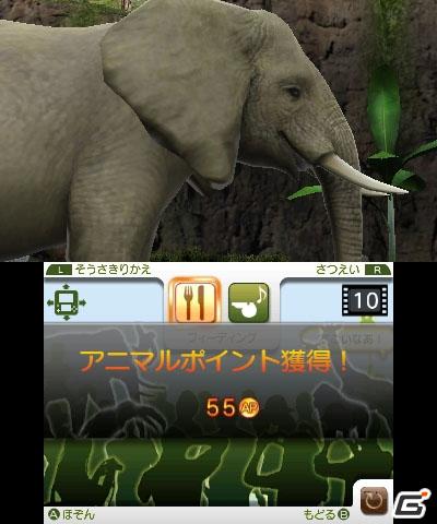 動物をウォッチング＆フィーディング！3DS「アニマルリゾート 動物園をつくろう！！」正式タイトルが決定の画像3