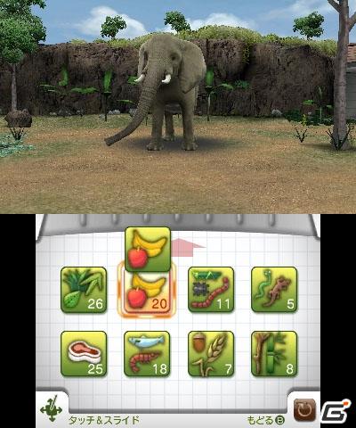 動物をウォッチング＆フィーディング！3DS「アニマルリゾート 動物園をつくろう！！」正式タイトルが決定の画像4