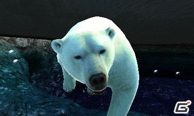 3DS「アニマルリゾート 動物園をつくろう!!」公式サイト正式オープン！の画像3