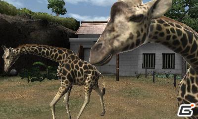 3DS「アニマルリゾート 動物園をつくろう!!」公式サイト正式オープン！の画像4