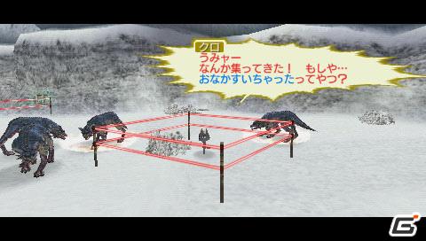 クライマックスで登場する新フィールドが明らかに！PSP「ファンタシースターポータブル2 インフィニティ」最新情報を公開の画像46