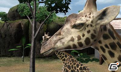 3DS「アニマルリゾート 動物園をつくろう!!」公式サイトにてゲーム内に登場する動物を紹介する「動物たち」やムービーを公開の画像1
