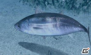 ニンテンドー3DS「Fish Eyes 3D」が2011年6月23日発売！ティザーサイトも公開中の画像12
