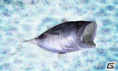 ニンテンドー3DS「Fish Eyes 3D」が2011年6月23日発売！ティザーサイトも公開中の画像13