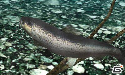 ニンテンドー3DS「Fish Eyes 3D」が2011年6月23日発売！ティザーサイトも公開中の画像3