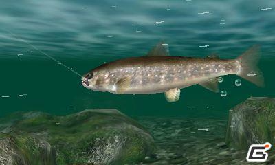 ニンテンドー3DS「Fish Eyes 3D」が2011年6月23日発売！ティザーサイトも公開中の画像8