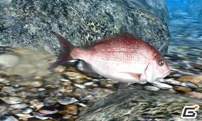 ニンテンドー3DS「Fish Eyes 3D」が2011年6月23日発売！ティザーサイトも公開中の画像9