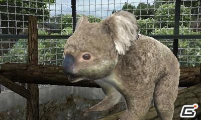 3DS「アニマルリゾート 動物園をつくろう！！」公式サイトがリニューアルオープン！発売日は2011年5月19日予定の画像5