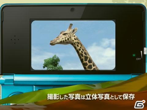 3DS「アニマルリゾート 動物園をつくろう！！」PV第1弾を公開＆東武動物公園とのコラボレーションが実現の画像4