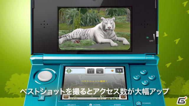3DS「アニマルリゾート 動物園をつくろう!!」PV第2弾＆TVCMを公開の画像5