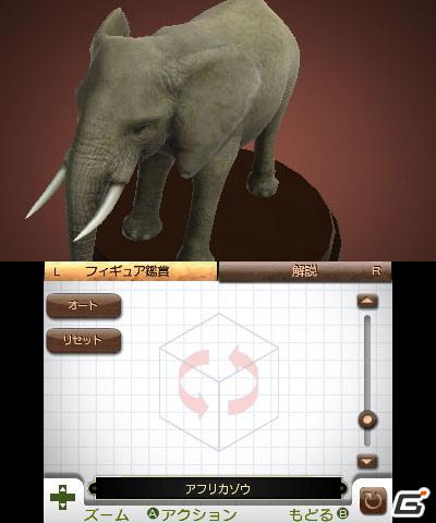 3DS「アニマルリゾート 動物園をつくろう!!」ゲームに登場する動物＆お楽しみ要素を紹介の画像12