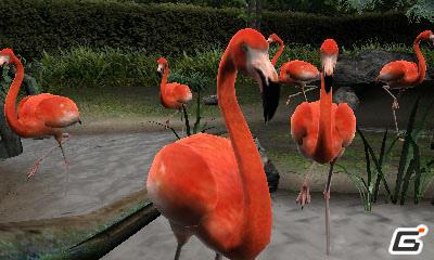 3DS「アニマルリゾート 動物園をつくろう!!」ゲームに登場する動物＆お楽しみ要素を紹介の画像5