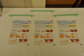 バブル世代にも迫る介護？岡本夏生さんがハイレグ姿で登場！「介護」の実践的な知識を学習できる日本初のDSソフト「介護ナビDS」記者発表会を開催の画像23