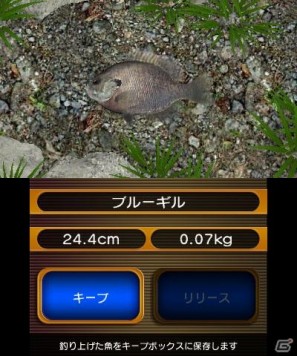 発売を記念して壁紙 待ち受けをプレゼント 3ds フィッシュアイズ3d 本日6月23日発売 Gamer