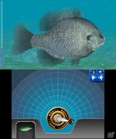 発売を記念して壁紙＆待ち受けをプレゼント！3DS「フィッシュアイズ3D」本日6月23日発売の画像4