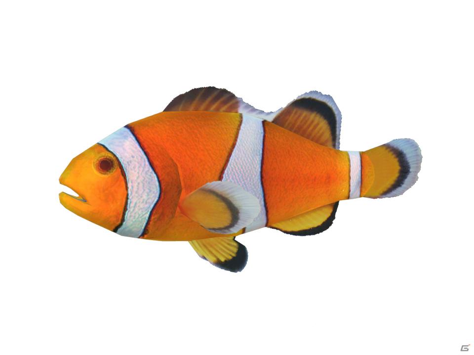ようこそ、お魚パラダイスへ！Wii「ファミリーフィッシング」が2011年8月4日発売の画像27