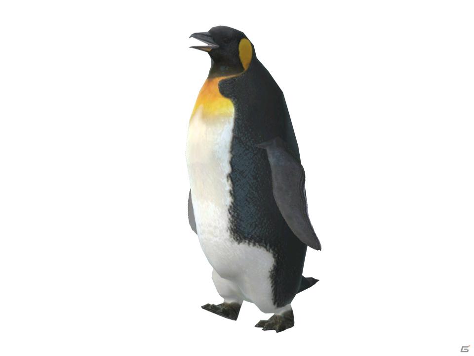 ようこそ、お魚パラダイスへ！Wii「ファミリーフィッシング」が2011年8月4日発売の画像29