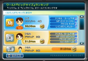 Wii「ファミリーフィッシング」本日発売！オンラインランキング＆クエスト情報を公開の画像12