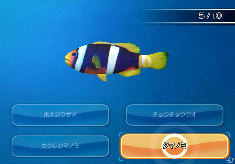 Wii「ファミリーフィッシング」本日発売！オンラインランキング＆クエスト情報を公開の画像70