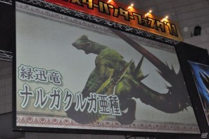 この夏もまだまだ一狩り行くぜ！ファン感謝イベント「モンスターハンターフェスタ’11 東京大会」レポートの画像11