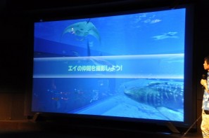 真夏の銀座に小さな海が出現！大画面で迫力のバーチャルリアリティを体験「Sony Aquarium VR 黒潮の海 イベント～VR黒潮の海で泳ごう！～」レポートの画像41