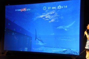 真夏の銀座に小さな海が出現！大画面で迫力のバーチャルリアリティを体験「Sony Aquarium VR 黒潮の海 イベント～VR黒潮の海で泳ごう！～」レポートの画像43