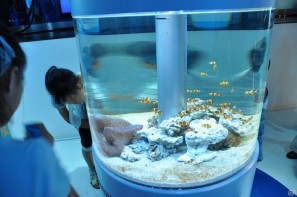 真夏の銀座に小さな海が出現！大画面で迫力のバーチャルリアリティを体験「Sony Aquarium VR 黒潮の海 イベント～VR黒潮の海で泳ごう！～」レポートの画像73